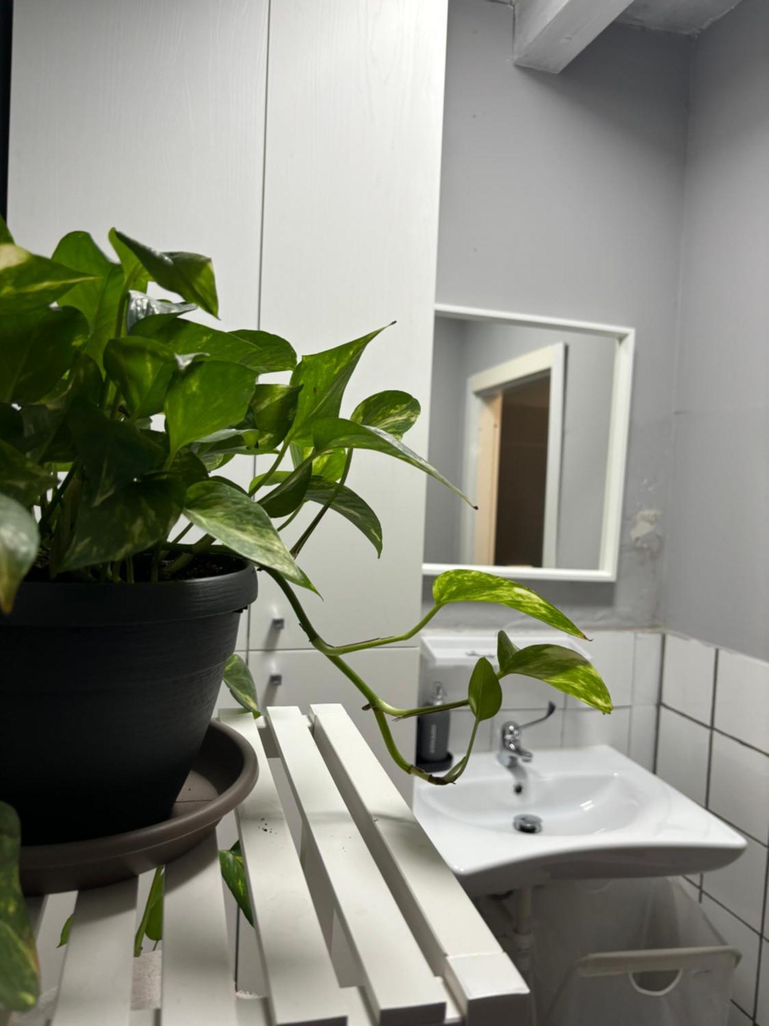 Capitolium Ad Bed & Breakfast Brescia Luaran gambar